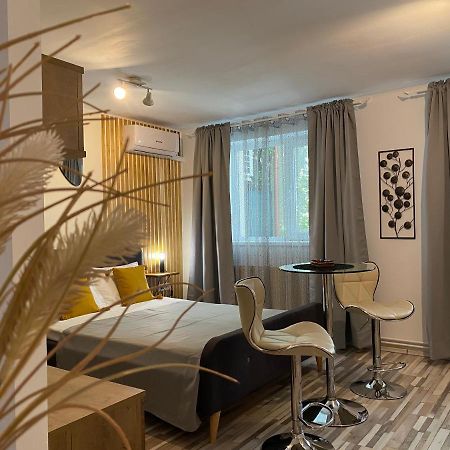 Urseni Studio Apartment Timisoara Esterno foto
