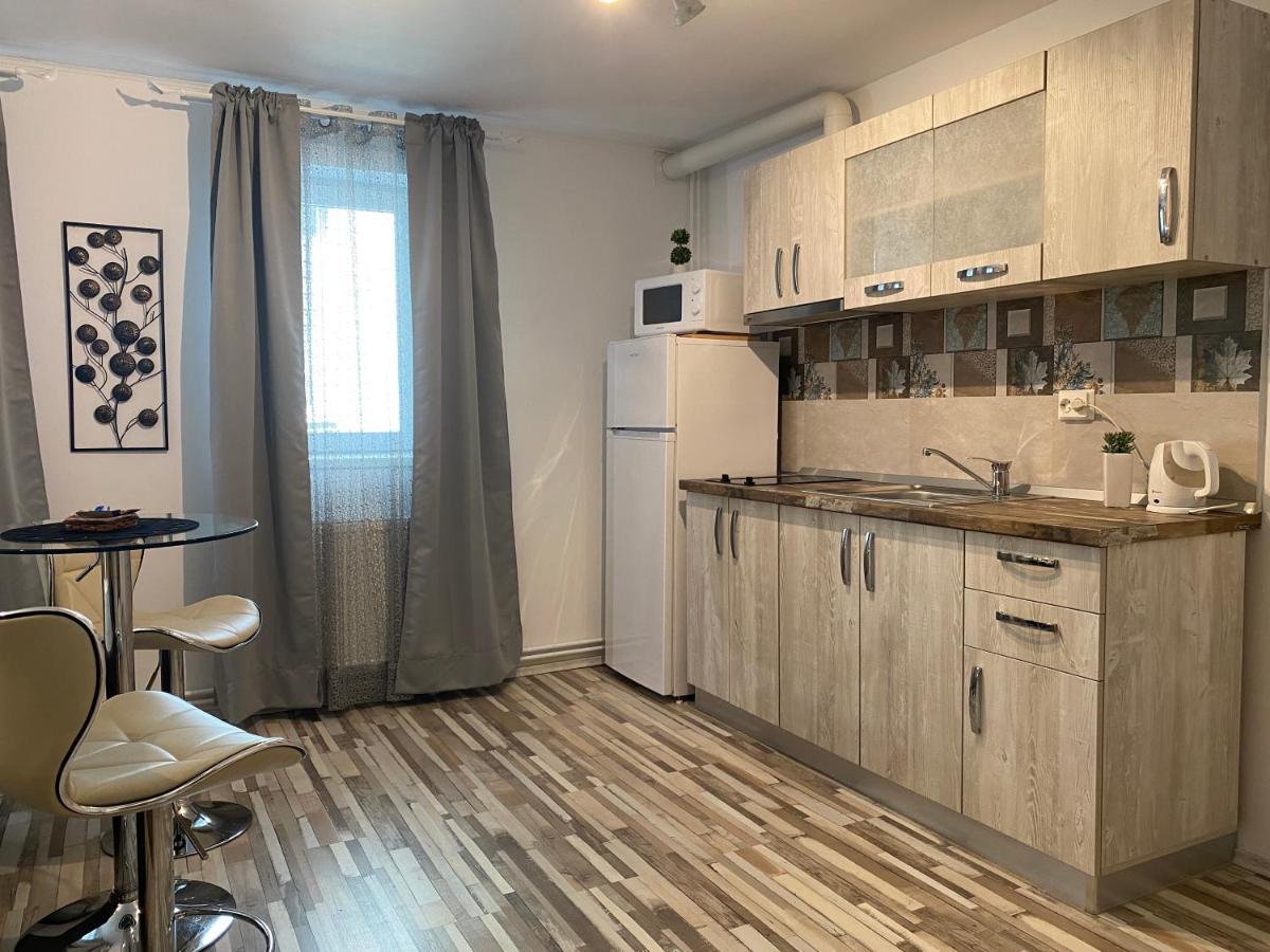 Urseni Studio Apartment Timisoara Esterno foto