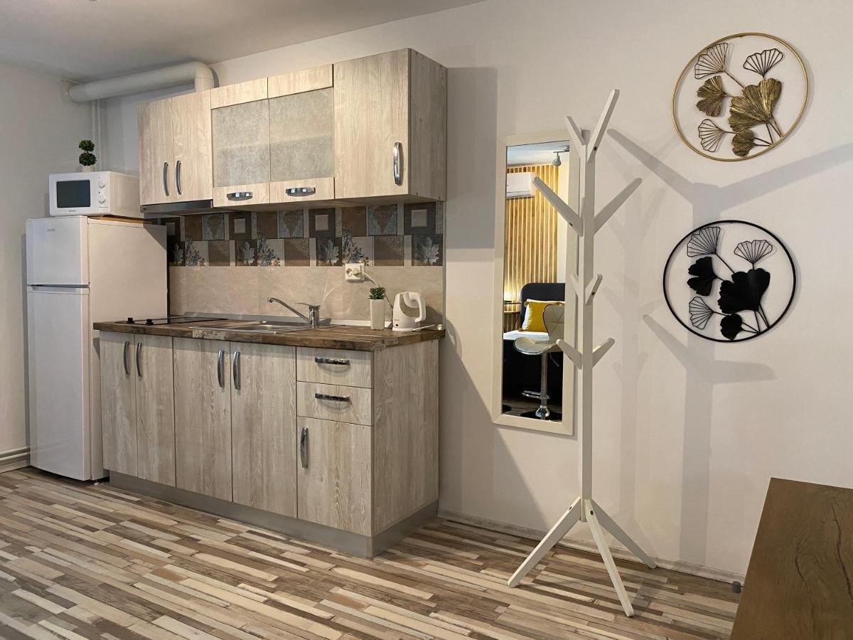 Urseni Studio Apartment Timisoara Esterno foto